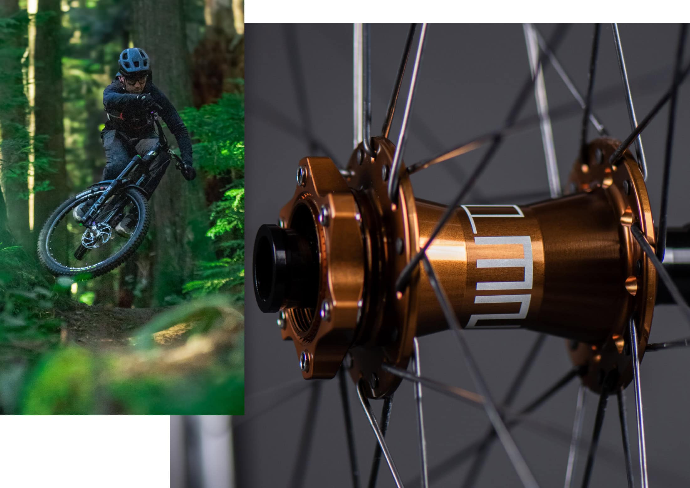 p321 header image 2