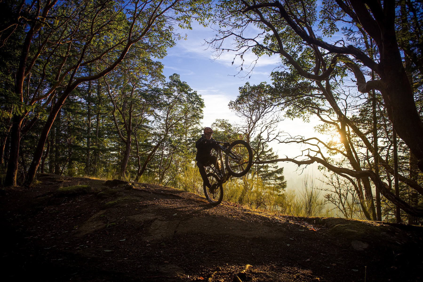 NOBL Sinewave custom build