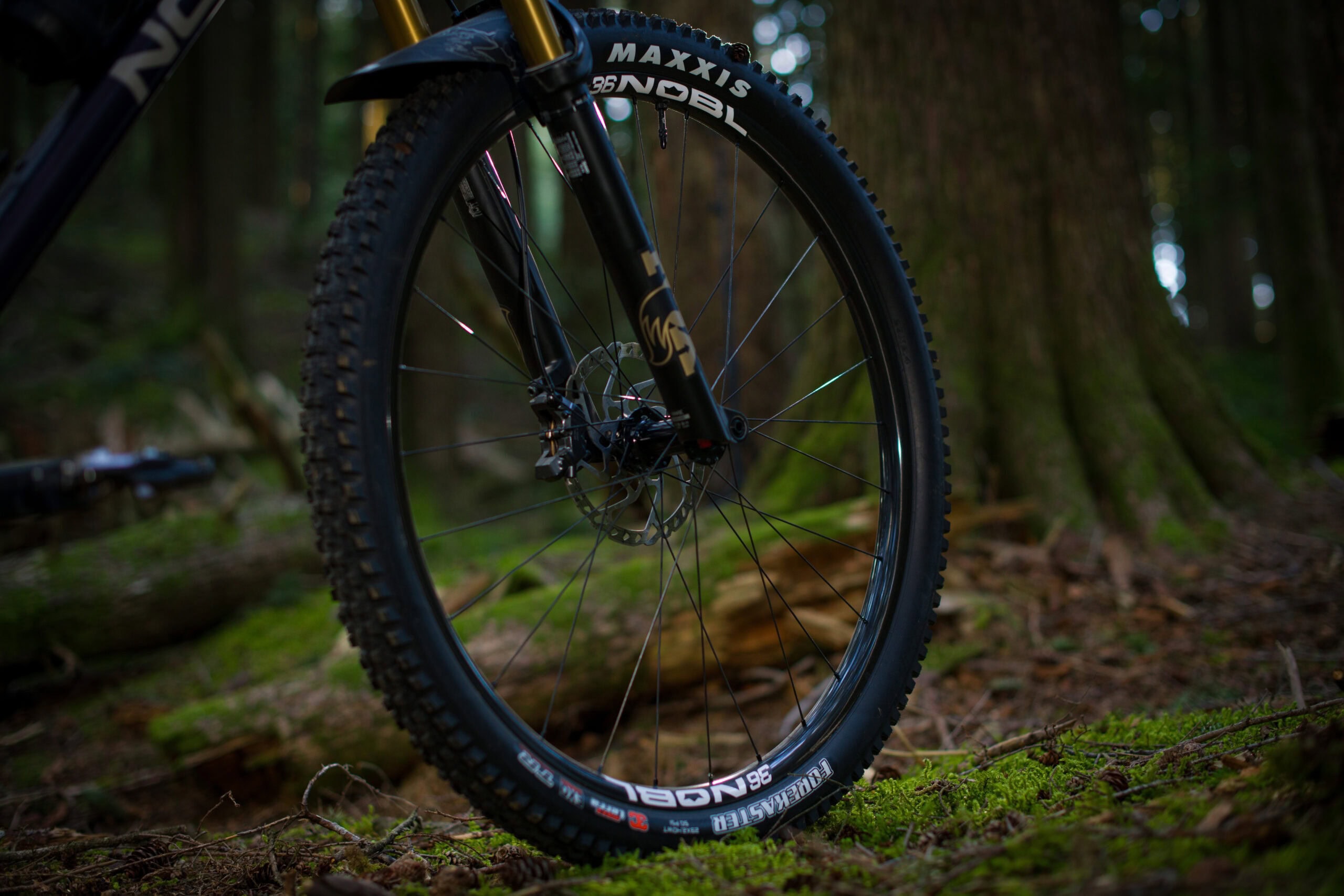 NOBL Signature 36 on trail